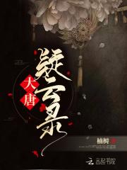 大唐疑云电视剧
