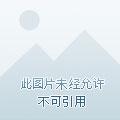 砚压群芳
